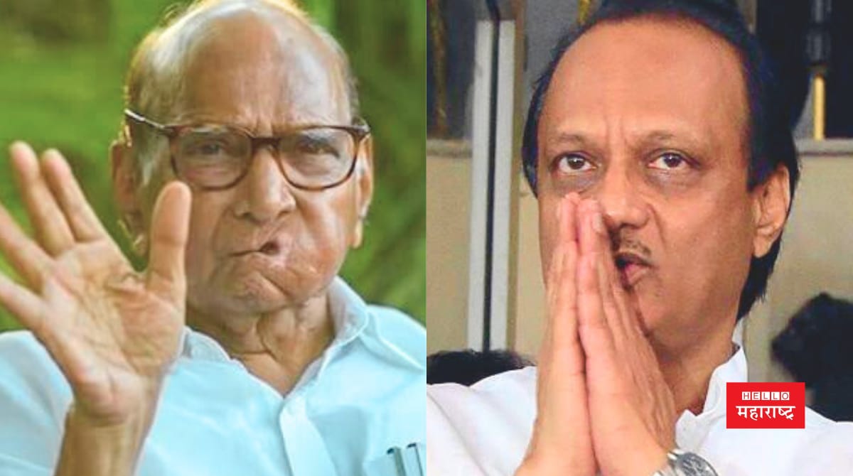 Ajit And Sharad Pawar