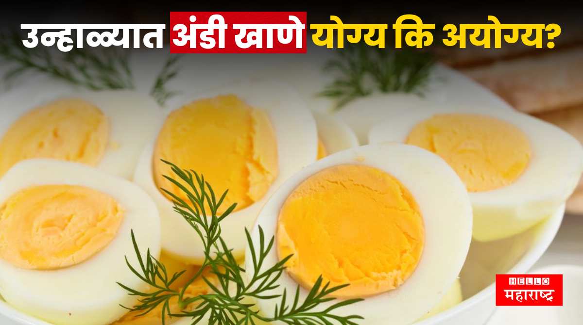 Eating Eggs In Summer