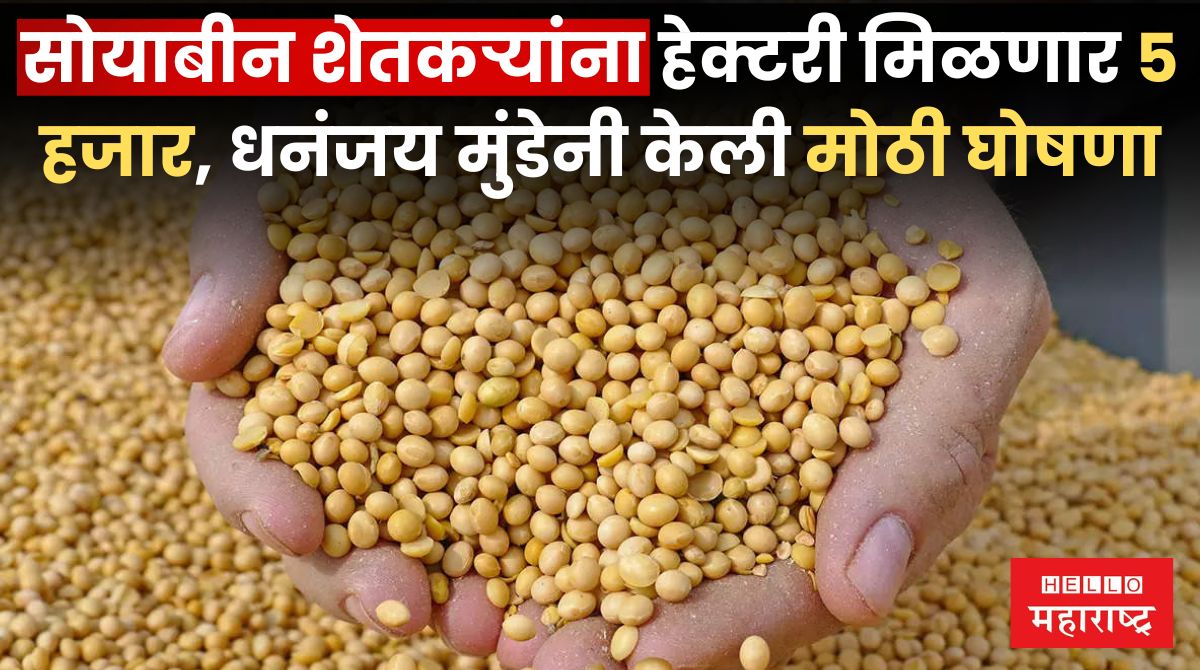 Soyabean Rate