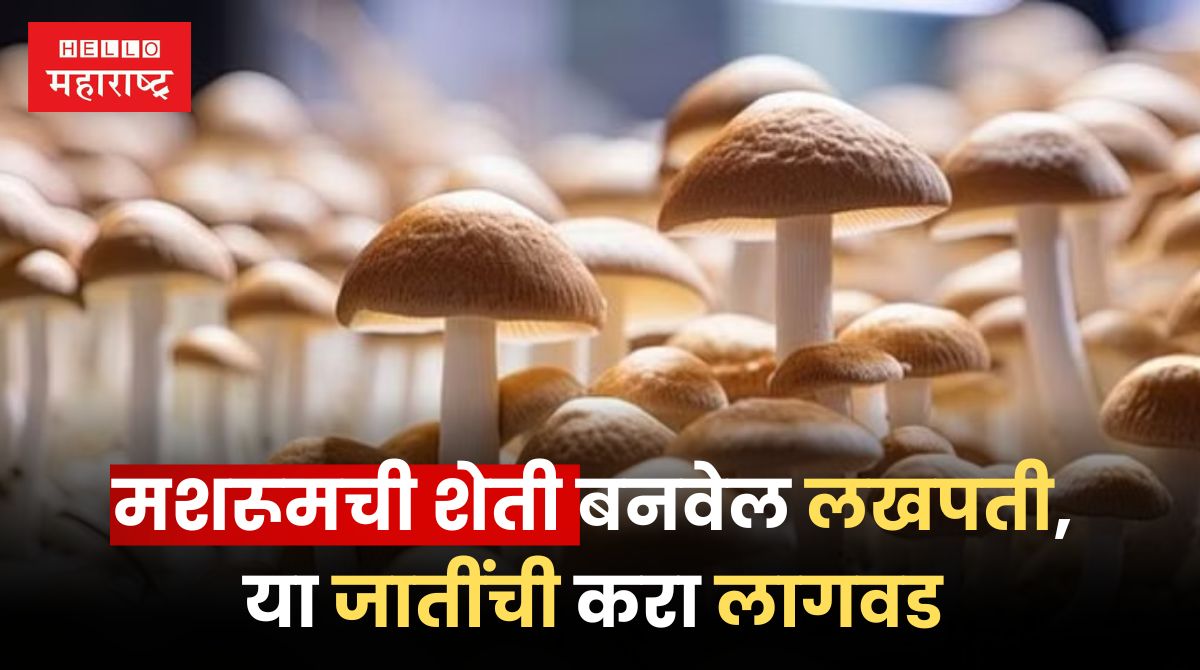 Mushroom Cultivation