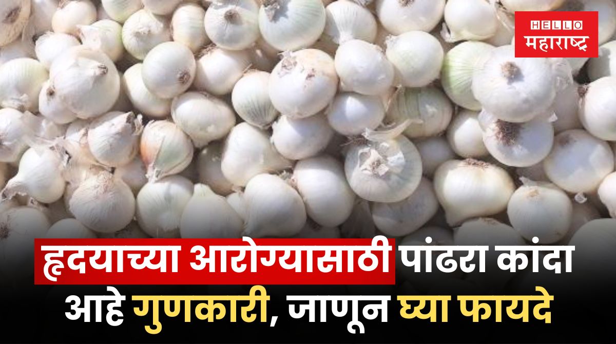 Benefits of White Onion