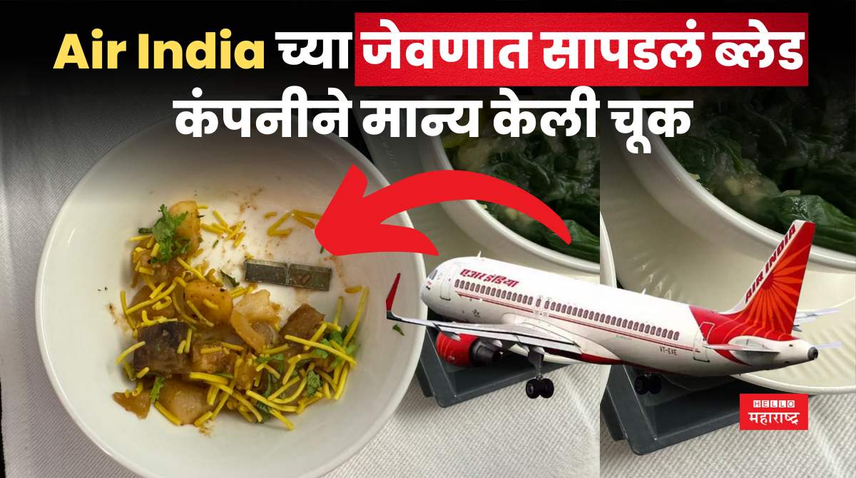 Air India Meal Blade