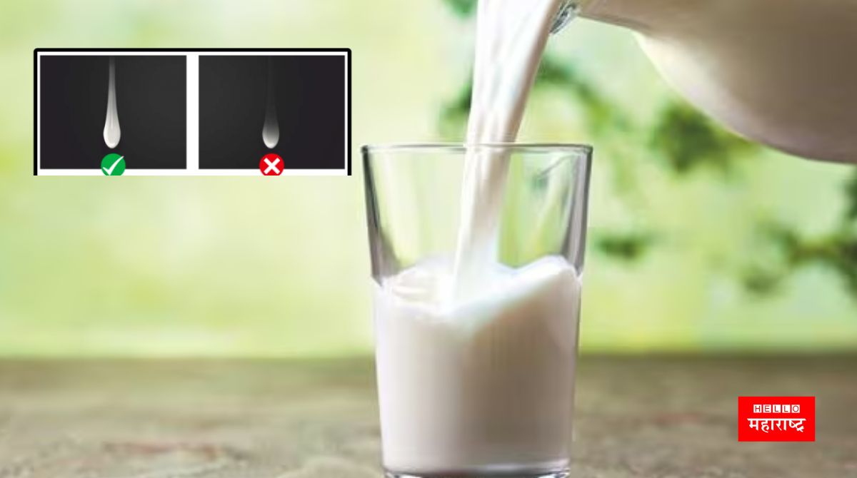 milk