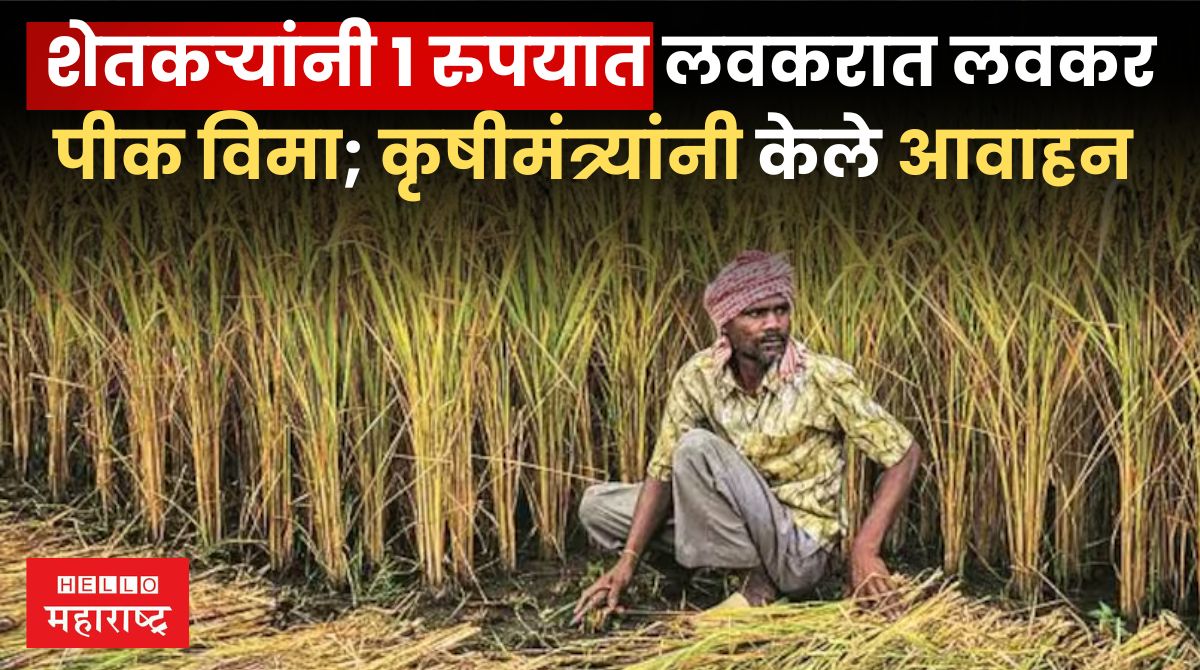 Pm Crop Insurance Yojana