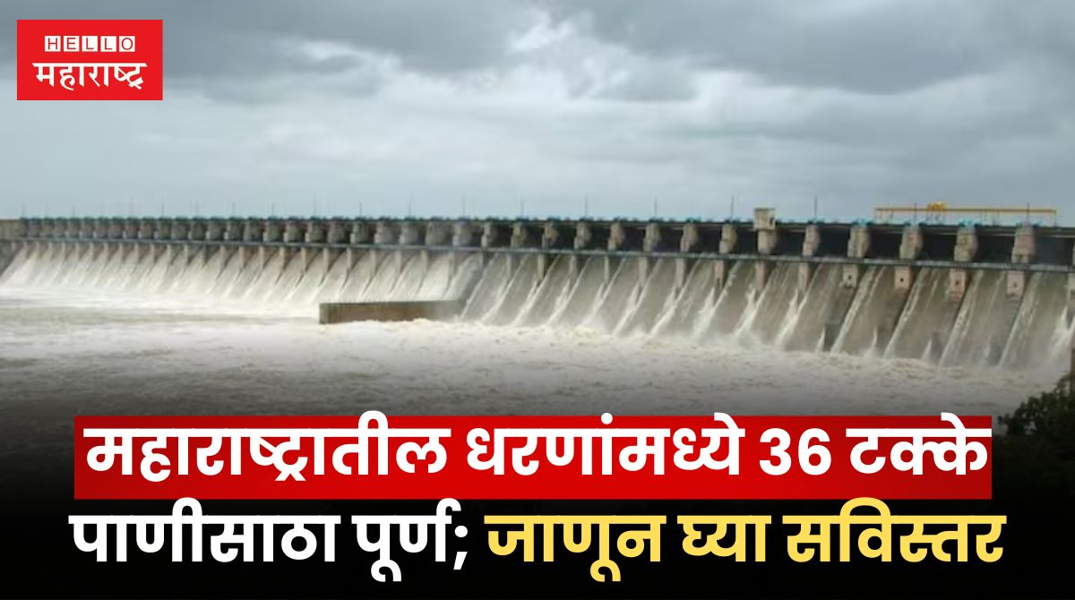 Maharashtra Dam Water Storage