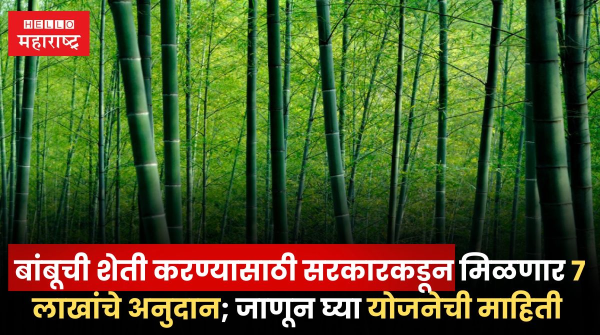 Atal Bamboo Farming Yojana