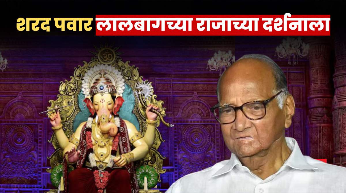 Sharad Pawar Lalbaugcha Raja Darshan (1)