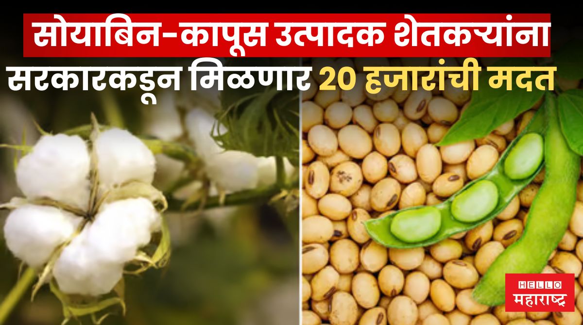 Soybean Cotton Subsidy