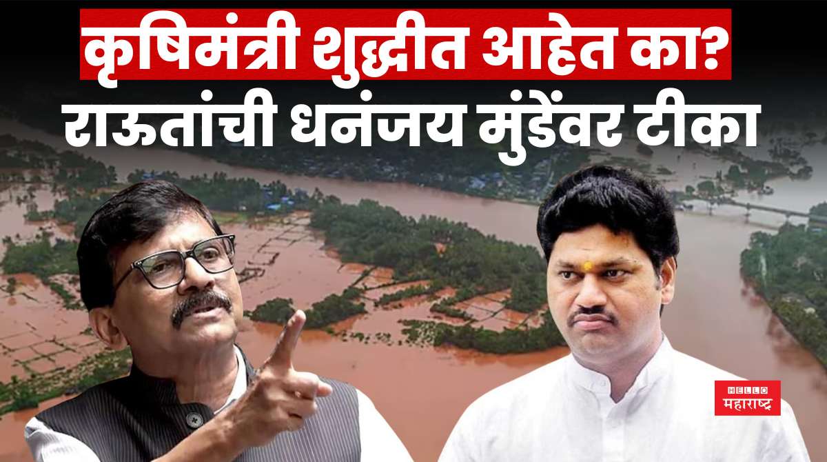 sanjay raut on dhananjay munde