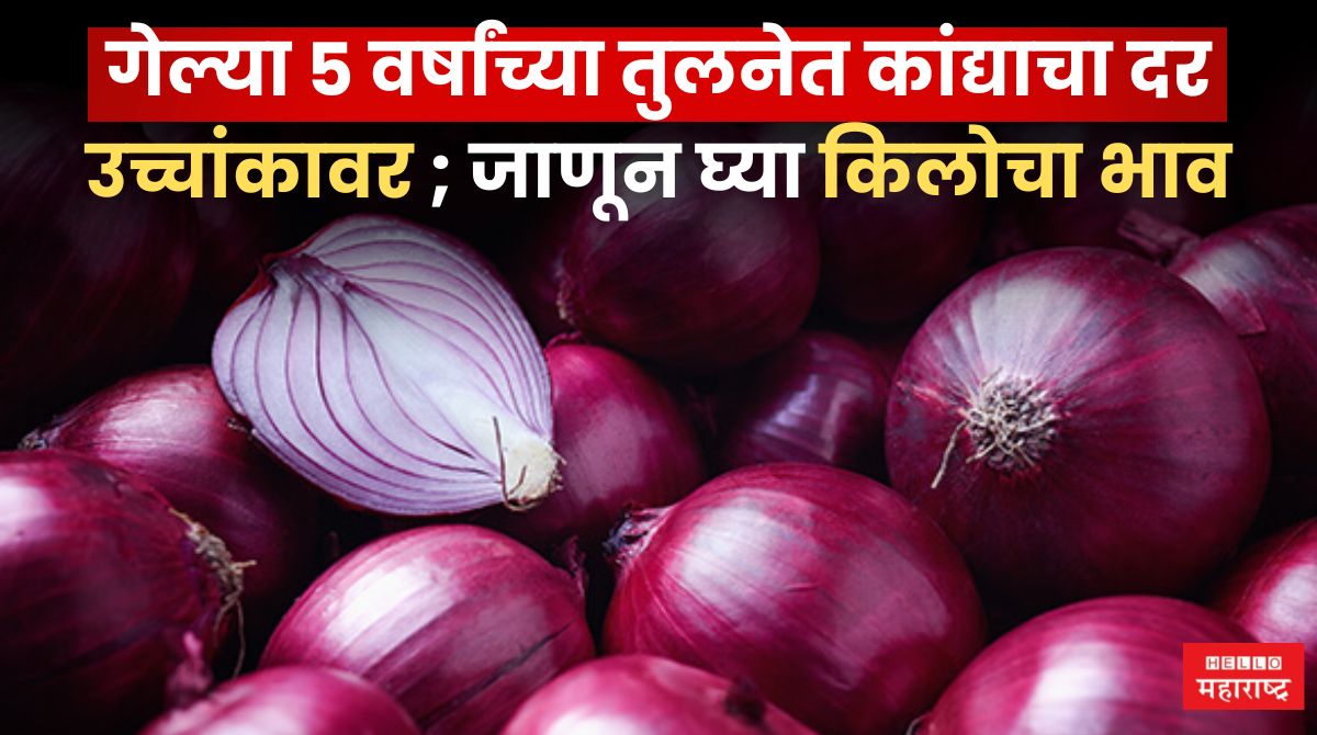 Onion Price