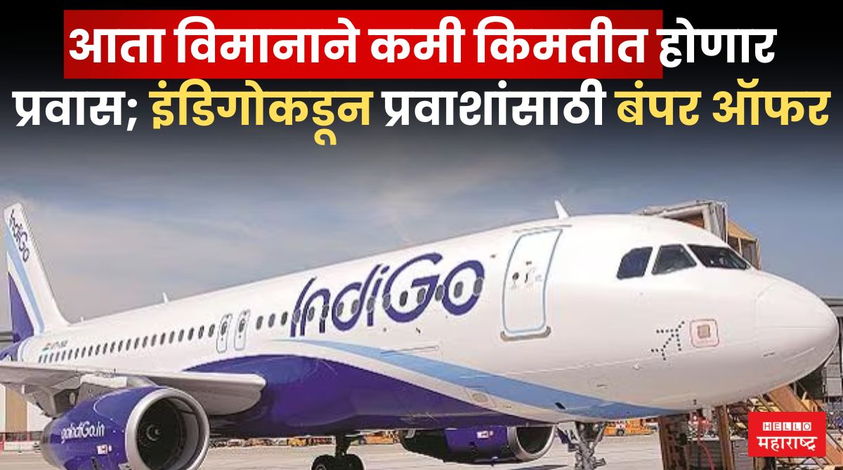 Indigo Airline