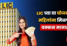 lic Sakhi Scheme