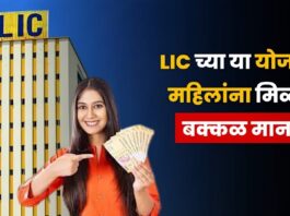 lic Sakhi Scheme