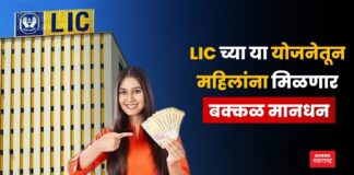 lic Sakhi Scheme