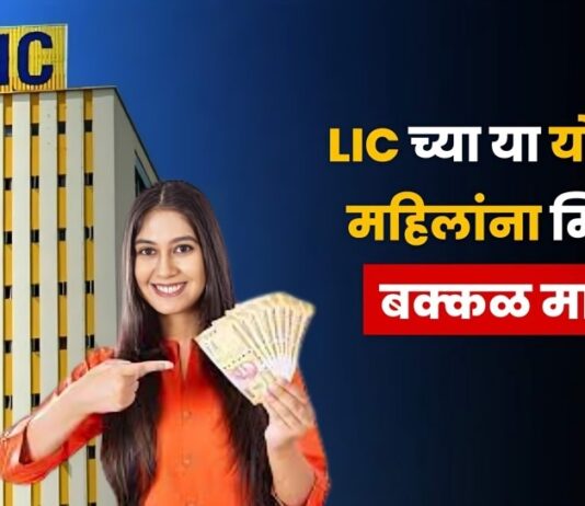 lic Sakhi Scheme