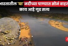 भारतातील ‘या’ नदीच्या पाण्यात सोनं वाहतं ! काय आहे गूढ सत्य Subarnarekha River