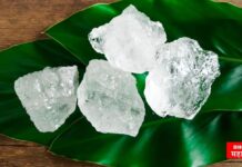 घर, शेती, सौन्दर्य सगळ्यांसाठी अद्भूत रिझल्ट देतो ‘हा’ पांढरा पदार्थ वापरून तर पहा alum