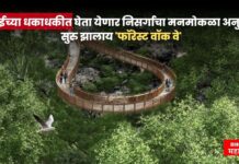 मुंबईच्या धकाधकीत घेता येणार निसर्गाचा मनमोकळा अनुभव ; सुरु झालाय ‘फॉरेस्ट वॉक वे’ forest walk way