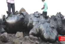काय सांगता ! महाराष्ट्रात जमिनीतून निघाला लावा सदृश पदार्थ, कुठे घडली घटना ?