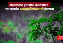 maharashtra weather