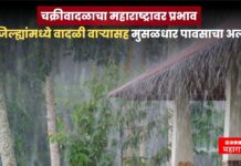 Weather Today : चक्रीवादळाचा महाराष्ट्रावर प्रभाव, 8 जिल्ह्यांमध्ये वादळी वाऱ्यासह मुसळधार पावसाचा अलर्ट weather today