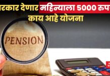 सरकार देणार महिन्याला 5000 रुपये; काय आहे योजना Atal Pension Yojana