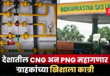 देशातील CNG अन PNG महागणार; ग्राहकांच्या खिशाला कात्री _CNG ,PNG