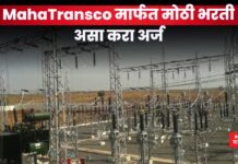 MahaTransco Recruitment 2025: महाराष्ट्र राज्य विद्युत पारेषण कंपनी मार्फत मोठी भरती; असा करा अर्ज MahaTransco Recruitment 2025