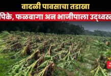 Maharashtra Rain: वादळी पावसाचा तडाखा; पिके, फळबागा अन भाजीपाला उद्ध्वस्त Maharashtra Rain