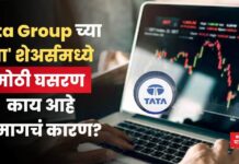 Tata Group च्या ‘या’ शेअर्समध्ये मोठी घसरण; काय आहे यामागचं कारण? Tata Group