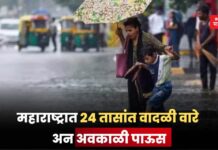 Weather Update: महाराष्ट्रात 24 तासांत वादळी वारे अन अवकाळी पाऊस; IMD कडून इशारा Weather Update