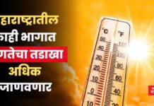 Weather Update: महाराष्ट्रातील काही भागात उष्णतेचा तडाखा अधिक जाणवणार; IMD चा इशारा Weather Update