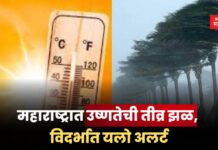 Weather Update: महाराष्ट्रात उष्णतेची तीव्र झळ, विदर्भात यलो अलर्ट; IMD ने दिला इशारा Weather Update (4)