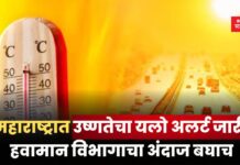 Weather Update: महाराष्ट्रात उष्णतेचा यलो अलर्ट जारी; हवामान विभागाचा अंदाज बघाच Weather Update