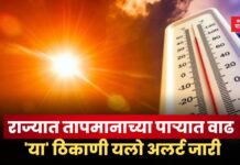 Weather Update: राज्यात तापमानाच्या पाऱ्यात वाढ; ‘या’ ठिकाणी यलो अलर्ट जारी Weather Update (7)