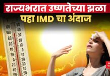 Weather Update: राज्यभरात उष्णतेच्या झळा; पहा IMD चा अंदाज Weather Update (9)