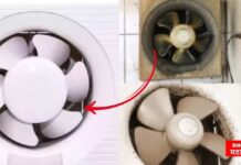 चीकट ,चिवट एक्झॉस्ट फॅन होईल चुटकीसरशी साफ ! जाणून घ्या घरगुती सोपे फंडे