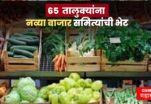 शेतकऱ्यांना मालासाठी मिळणार आणखी बाजारपेठा ! 65 तालुक्यांना नव्या बाजार समित्यांची भेट