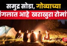 Goa Forest Tourism : समुद्र सोडा, गोव्याच्या जंगलात आहे खरंखुरं साहस; येईल रोमांचक अनुभव Goa Forest Tourism