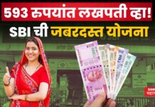 Investment Plan : 593 रुपयांत लखपती व्हा!! SBI ची जबरदस्त योजना Investment Plan SBI