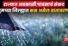 Maharashtra Weather Updates : राज्यात अवकाळी पावसाचं संकट; तुमच्या जिल्ह्यात कसं असेल वातावरण? Maharashtra Weather Updates