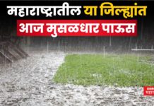 Rain In Maharashtra : महाराष्ट्रातील ‘या’ जिल्ह्यांत मुसळधार पाऊस; हवामान विभागाचा अंदाज Rain In Maharashtra 20 may