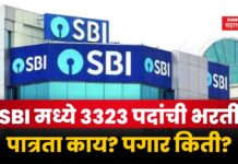 SBI CBO Recruitment 2025 : SBI मध्ये 3323 पदांची भरती; पात्रता काय? पगार किती? SBI CBO Recruitment 2025