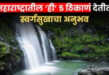 Monsoon Destinations In Maharashtra : पावसाळ्यात निसर्गसौंदर्याचा आस्वाद घ्यायचाय? महाराष्ट्रातील ही 5 ठिकाणं देतील स्वर्गसुखाचा अनुभव