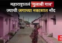 महाराष्ट्रातलं ‘गुलाबी गाव’ जिथं आहे वीजबिल शून्य, स्वतःचं धरण आणि जगाच्या नकाशात नोंद