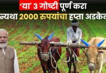 PM Kisan: ‘या’ 3 गोष्टी पूर्ण करा, अन्यथा 2000 रुपयांचा हप्ता अडकेल! शेतकऱ्यांसाठी 31 मेपर्यंत विशेष मोहिम