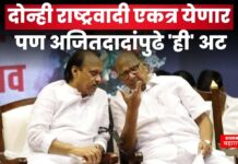 दोन्ही राष्ट्रवादी एकत्र येणार; पण अजितदादांपुढे ‘ही’ अट sharad pawar ajit pawar