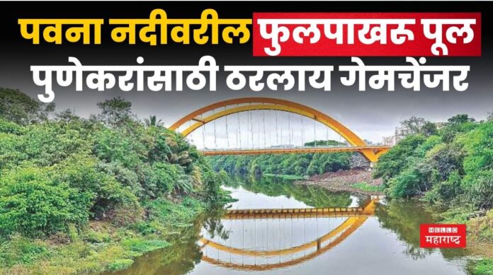 Butterfly Bridge Butterfly Bridge