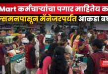 DMart Employees Salary : DMart कर्मचाऱ्यांचा पगार माहितेय का? सेल्समनपासून मॅनेजरपर्यंत आकडा बघाच DMart Employees Salary