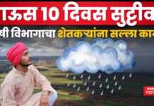 Maharashtra Weather Updates : पाऊस 10 दिवस सुट्टीवर; कृषी विभागाचा शेतकऱ्यांना सल्ला काय? Maharashtra Weather Updates 2 june